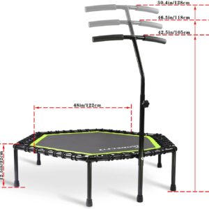 Fitness Trampoline