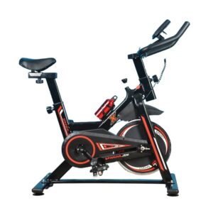 Sport Domestic Spin Bike