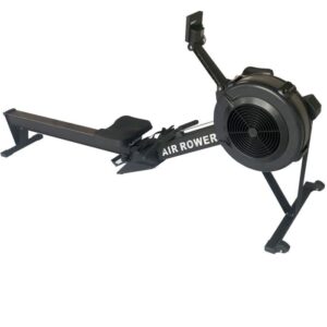 Commercial Air Rower